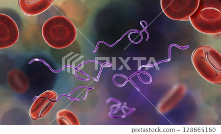 Borrelia bacteria in blood Borrelia bacteria in blood 128665160
