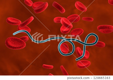 Borrelia bacteria illustration Borrelia bacteria illustration 128665163
