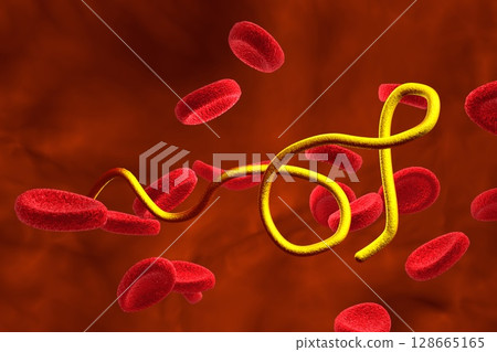 Borrelia bacteria illustration Borrelia bacteria illustration 128665165