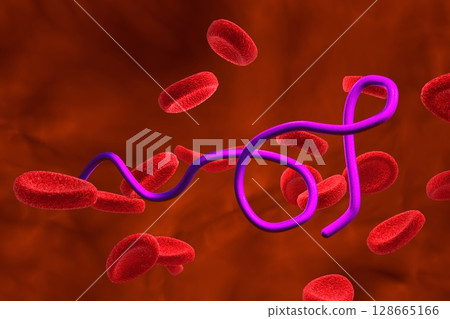 Borrelia bacteria illustration Borrelia bacteria illustration 128665166