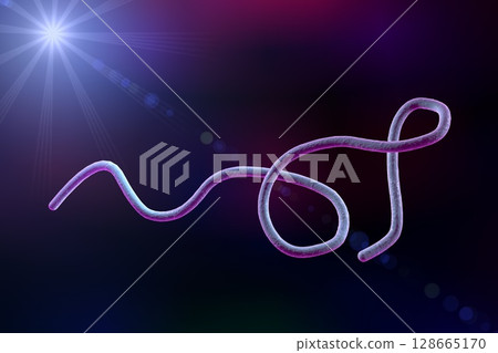 Borrelia bacteria illustration Borrelia bacteria illustration 128665170