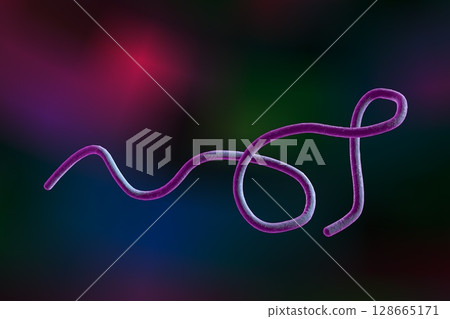 Borrelia bacteria illustration 128665171