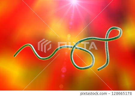 Borrelia bacteria illustration 128665178