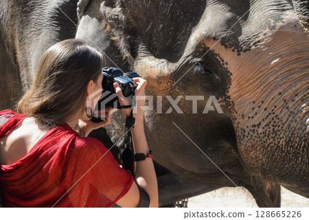 a girl photographer takes pictures of an adult elephant 128665226