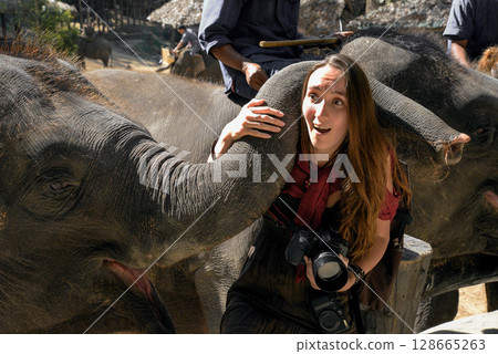 a girl photographer takes pictures of an adult elephant 128665263