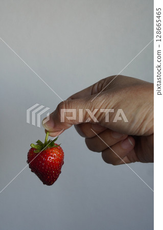 Holding fresh green stem of a red single strawberry, There are water droplets on the strawberries, white wall cement background, fruit, fresh, health, copy space Holding fresh green stem of a red single strawberry, There are water droplets on the strawberries, white wall cement background, fruit, fresh, health, copy space 128665465