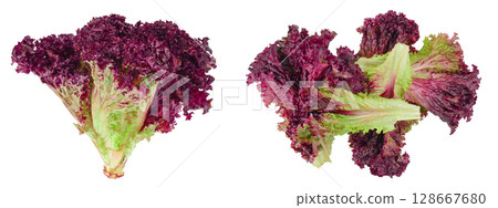 fresh red coral salad or lettuce isolated on the white background. Top view. Flat lay 128667680