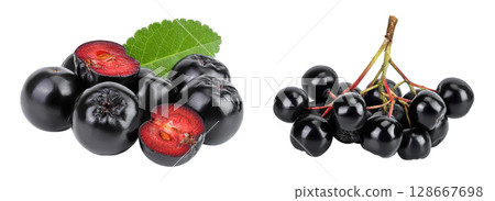 Chokeberry with leaf isolated on white background. Black aronia. Chokeberry with leaf isolated on white background. Black aronia. 128667698