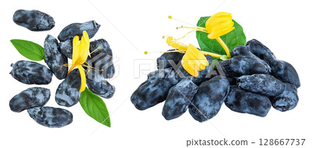 Fresh honeysuckle blue berry isolated on white background with full depth of field. Top view with copy space. Flat lay. Fresh honeysuckle blue berry isolated on white background with full depth of field. Top view with copy space. Flat lay. 128667737