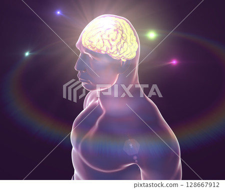 Human brain, illustration Human brain, illustration 128667912