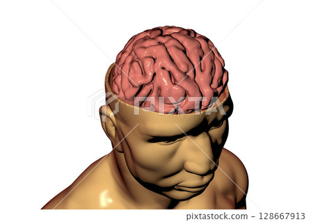 Human brain inside head Human brain inside head 128667913