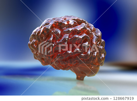 Human brain, illustration Human brain, illustration 128667919