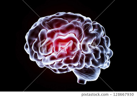 Human brain, illustration 128667930