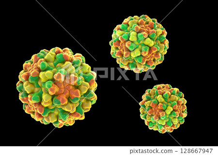 Tomato bushy stunt viruses, 3D illustration. 128667947
