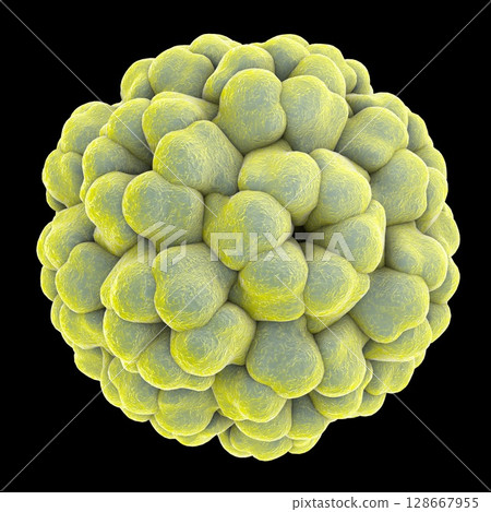 Brome mosaic virus 128667955