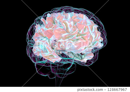 Human brain with highlighted white matter, 3D illustration Human brain with highlighted white matter, 3D illustration 128667967