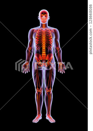 Human body with a highlighted skeleton, 3D illustration 128668086