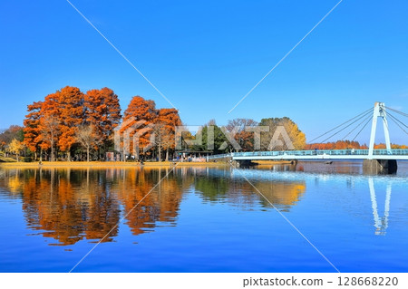 [東京] 晴朗的日子裡的水本橋和秋葉（水本公園） 128668220