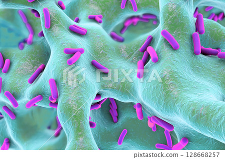 Rod-shaped bacteria inside bone tissue 128668257