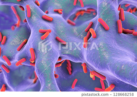 Rod-shaped bacteria inside bone tissue Rod-shaped bacteria inside bone tissue 128668258