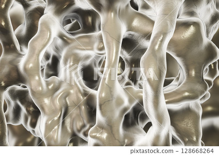 Normal bone illustration 128668264