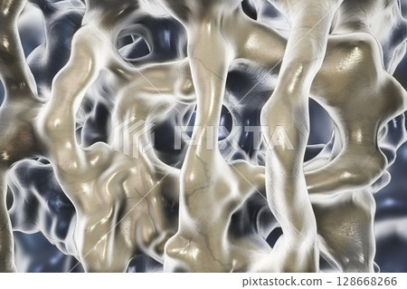 Normal bone illustration 128668266