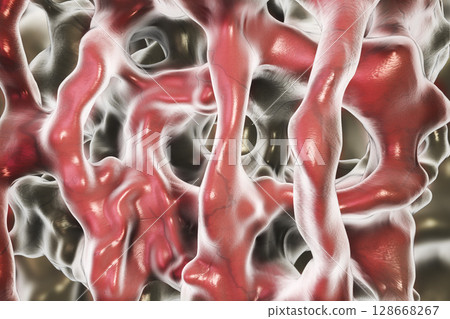 Normal bone illustration 128668267