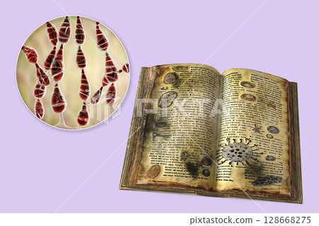 Mold in old books, conceptual 3D illustration. Open antique book with mold on its pages and close-up view of mold fungi Alternaria alternata, the common microscopic fungus found in old books 128668275
