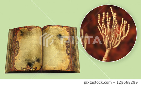Mold in old books, conceptual illustration Mold in old books, conceptual illustration 128668289