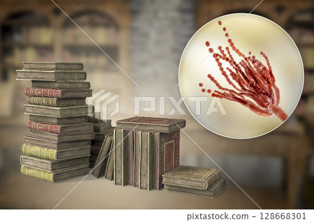 Mold in old books, 3D illustration Mold in old books, 3D illustration 128668301