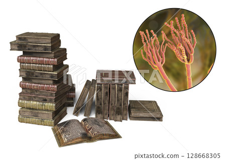 Mold in old books, 3D illustration 128668305
