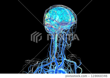 Brain veins, 3D illustration 128668346