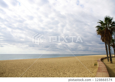 beautiful large tropical palm trees grow on the coast beautiful large tropical palm trees grow on the coast 128668574