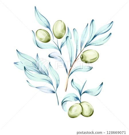 Olives and olive oil illustrated in watercolor style showcasing nature and Italian culinary traditions 128669071
