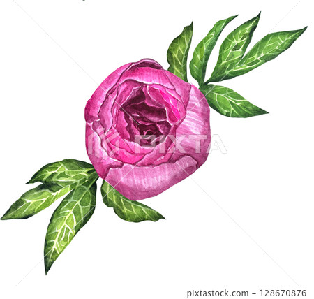 Watercolor peony bouquet illustration. Hand draw flowers illustration. Pink peonies flowers watercolor illustration painting botanical art greeting card stationar. 128670876