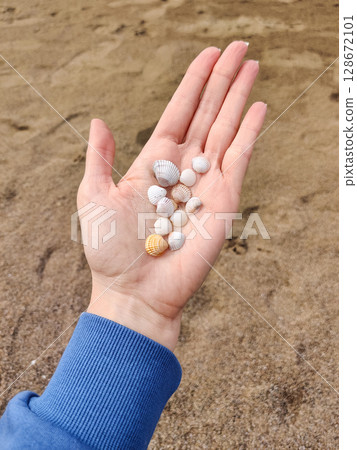 holding many different white small sea shells in the palms holding many different white small sea shells in the palms 128672101