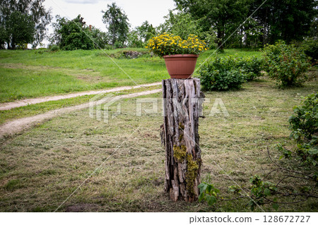 Flower Pot on Tree Stump in Garden Yard Surrounded by Green Grass and Bushes 128672727