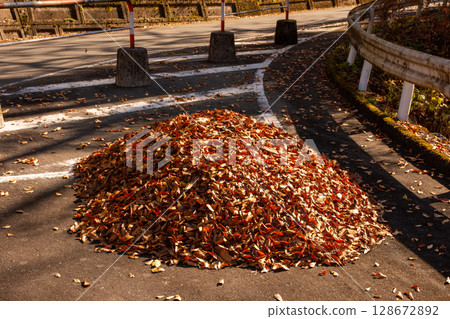 A seasonal sight in autumn in Chichibu: piles of fallen leaves collected during road cleanups 128672892