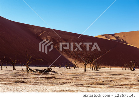 Barren landscape near Deadvlei and sossusvlei Barren landscape near Deadvlei and sossusvlei 128673143