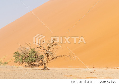 Sossusvlei in a sandstorm Sossusvlei in a sandstorm 128673150