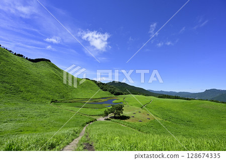 索尼高原:美麗的夏日綠毯 索尼高原:美麗的夏日綠毯 128674335