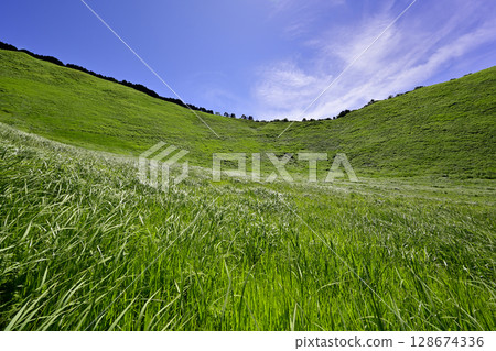 Soni Plateau: A beautiful summer green carpet 128674336