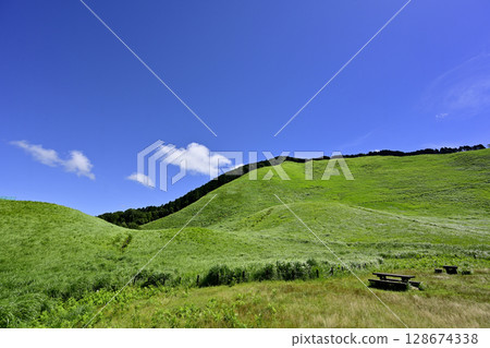 Soni Plateau: A beautiful summer green carpet 128674338