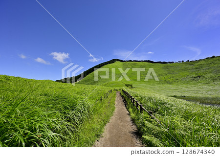 Soni Plateau: A beautiful summer green carpet Soni Plateau: A beautiful summer green carpet 128674340