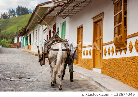 Peasant man from the region of Antioquia traditionally called arriero and his working horse walking on the streets of the small town of Concepcion. Peasant man from the region of Antioquia traditionally called arriero and his working horse walking on the streets of the small town of Concepcion. 128674349