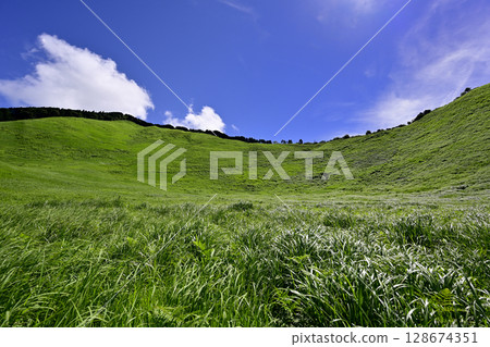 Soni Plateau: A beautiful summer green carpet 128674351