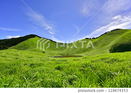 索尼高原：美麗的夏日綠毯 128674353