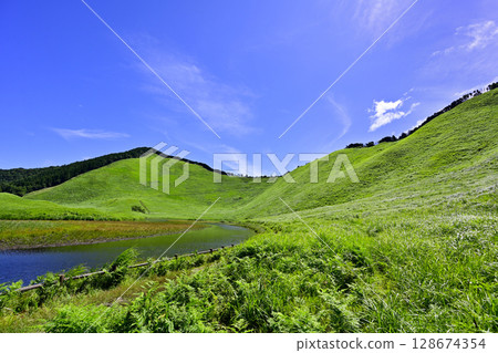 Soni Plateau: A beautiful summer green carpet Soni Plateau: A beautiful summer green carpet 128674354