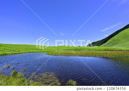 Soni Plateau: A beautiful summer green carpet 128674356