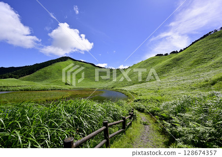 索尼高原：美麗的夏日綠毯 128674357